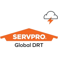 SP Global DRT